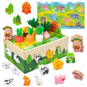 Aischens Jouet Montessori Enfants 2 3 4 Ans, Jeu de Ferme Récolte de Carottes Jouet en Bois, Cubes à Emboîter Tri & Empilage Jouets, Jouets Éducatif Montessori Puzzle en Bois, Jouet de Motricité Bébé (Ixitzeroz OU, neuf)