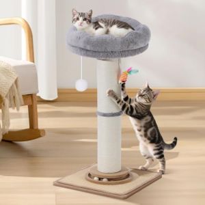 Poteau &agrave; gratter pour chats, Trhillsbrad 81 cm de haut avec un diam&egrave;tre &eacute;pais pour chats d&rsquo;int&eacute;rieur et chats adultes, Poteau &agrave; gratter avec balle interactive et jouets mignons, Sisal pour chats (aairyepvei, neuf)