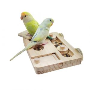 Jeu de Recherche de Nourriture pour Oiseaux,Perchoir Suspendu pour Perroquets,avec Plusieurs Trous et Couvercle Coulissant,pour Petits et Moyens Perroquets,Perruches Ondul&eacute;es,Calopsittes,Ins&eacute;parables (AILOVA, neuf)