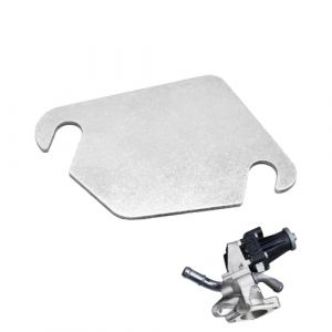 GVSS Plaque EGR 1.6 HDI pour Ford Sans Trou, Cache Vanne EGR 1.6 HDI,Plaque Suppression Vanne EGR 1.6 HDI en Acier Inoxydable,Plaque d'Obturation EGR Compatible avec Ford Moteurs 1.4 HDI et 1.6 HDI (YinLuHeng, neuf)