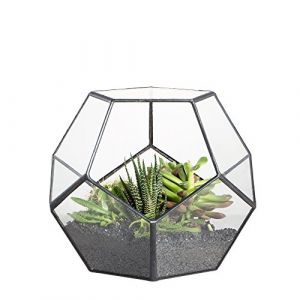 NCYP Noire Géométrique Terrarium en Forme de dodécaèdre et plaques Transparent de Verre pentagonales pour Plante (Pas de Plantes) (Zhongpengcheng EU, neuf)