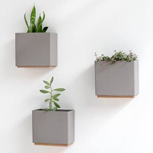 Kazai. Jardinières Murales -Alma- | 3 Pots de Fleurs Suspendus Modernes en Résine | Ensemble de Porte-Plantes pour Plantes d'intérieur, Plantes artificielles et Plus | Taupe (mtc commerce GmbH, neuf)