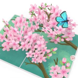 papercrush&reg; Carte pop-up Sakura - Carte fleurs de cerisier d'anniversaire 3D pour elle (femme, petite-fille, maman, mamie), Carte f&eacute;licitations anniversaire mariage, depart coll&egrave;gue ou naissance fille (papercrush, neuf)