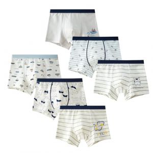 LeQeZe Boxer Gar&ccedil;on Lot de 6 Enfant Slip Garcon Coton Culotte sous-V&ecirc;tement 4-5 Ans (LeQeZe-UK, neuf)