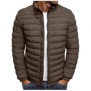 RLEHJN Manteau Homme Hiver Doudoune Homme Legere Et Chaude Hiver Veste Chic sans Capuche Col Mao Veste Matelassée Zipper Blousons Couleur Unie Décontractée AVCE Poches Automne Jacket (⭐⭐⭐⭐⭐RLEHJN, neuf)