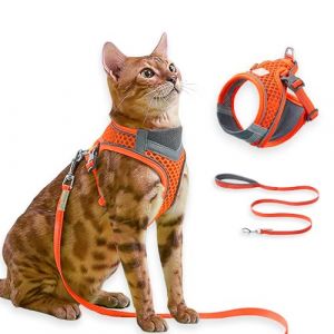 Harnais Chat avec Laisse, Anti-Évasion, Réfléchissant, Respirant Réglable, Gilet-Harnais pour Chaton pour Promenades Extérieures Confortables, Convient aux Chats et Petits Chiens (Orange, S) (MS Momo, neuf)
