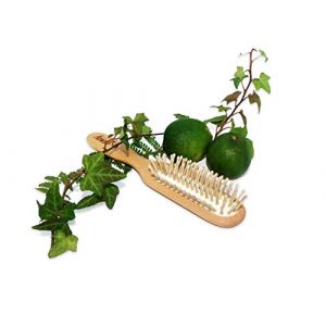 Ana&eacute; Brosse Fine H&ecirc;tre cir&eacute; Picots en Bois (Youdoit, neuf)