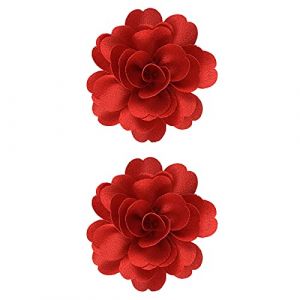 Pin Hair - Bandeau à cheveux solides pour filles - Pince à cheveux pour bébé - Motif floral - 1 paire - Couleur naturelle - Craie pour cheveux (N, taille unique) (fengshimeng, neuf)