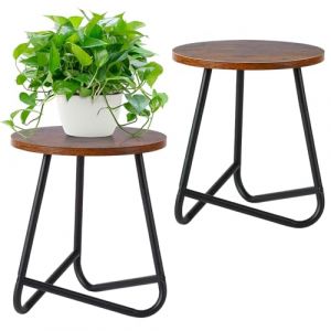 HDANI Lot de 2 Support Rond en M&eacute;tal pour Plantes de 35 cm,Petit Aupport pour Fleurs,&eacute;tag&egrave;re en Bois pour Plantes, &eacute;tag&egrave;re Moderne pour Plantes d'int&eacute;rieur pour Salon,Balcon et Bureau,Noir (HDANI, neuf)