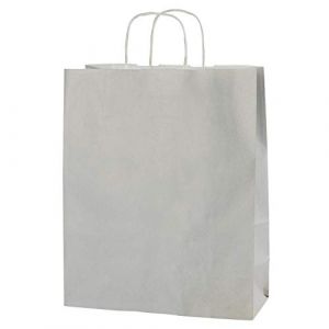 Thepaperbagstore 10 sacs en papier Gris Clair avec poignées – Sacs cadeaux en papier colorés – Sacs de transport en papier pour le shopping, les fêtes, les anniversaires et les mariages 25x11x31cm (Thepaperbagstore, neuf)