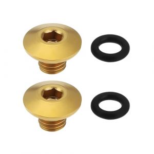 VGOL 2X Vis de Purge de Vélo Joint Torique Corps Fendu Bouchon D'huile Boulons en Alliage de Titane TC4 M5 X 10 Mm Compatibles avec Shimano XT SLX Zee Deore LX (VGOL, neuf)