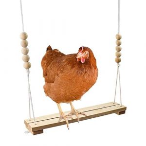 Nybhyjka Balançoire pour Poules - Jouets en Bois Naturel pour Poulailler | Accessoires D'Habitat Et Fournitures Essentielles pour Éleveurs d'oiseaux Décor Extérieur Poules Ferme Débutant Poussins (MACHENGKK, neuf)