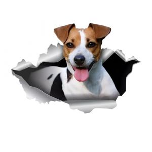 Autocollant pour voiture 25 cm (9,8 pouces) Jack Russell Terrier Autocollant r&eacute;fl&eacute;chissant dr&ocirc;le Jack Russell Terrier Autocollant de voiture Animal de compagnie Chien Autocollant &eacute;tanche 3D D&eacute;chir&eacute; (TIZIKJ-FR Store, neuf)