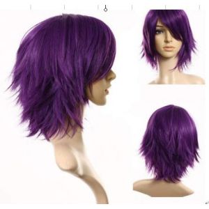 Perruque de déguisement pour Halloween, fête de Noël, violet inversé, cheveux courts, taches solaires, basket-ball, Atsushi Zihara Fq001A-5 (long zhu tang, neuf)