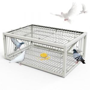 MUALROUS Piège à Pigeons avec Conception à l’Épreuve De l’Évasion Pigeon Dove Piège à Oiseaux Cage Pliant Entrée à Sens Unique Patio Extérieur Jardin Piège sans Cruauté pour Moineau Souris Lapin (Menglian shangmao, neuf)