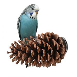 Support Pour Perchoir À Oiseaux En Forme De Pomme De Pin – Perchoir Unique Pour Petits Oiseaux, Parfait Pour Les Perroquets | Perchoir À Oiseaux Décoratif, Perchoir Confortable Pour Jouer, Jouet De Pe (JiLitec, neuf)