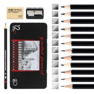 Meleager Crayon Dessin, 15 Pi&egrave;ces Kit Dessin Crayon Papier de Diff&eacute;rentes Duret&eacute;s avec 8B 7B 6B 5B 4B 3B 2B B HB F H 2H, Gomme, Trousses et Taille-crayon, Id&eacute;al pour Artiste, D&eacute;butant, Designer (WEIMEIYING, neuf)