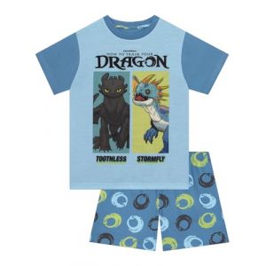 How To Train Your Dragon Pyjama Garcon, Pyjama Enfant Garcon Toothless, Vetement Enfant Le Dragon, Bleu 8-9 Ans (Character FR, neuf)