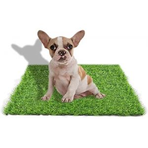STARROAD-TIM 50 * 60CM Gazon Synthetique Chien- Tapis Herbe Chien-Gazon Synthetique Exterieur-Gazon Artificiel Chien- Fausse Herbe pour Chiens-Peut &ecirc;tre Utilis&eacute; &agrave; l'int&eacute;rieur ou &agrave; l'ext&eacute;rieur (STAR ROAD EU, neuf)