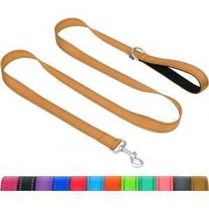 Taglory Laisse de Dressage réfléchissante pour Chien, poignée rembourrée en néoprène et Crochet en métal, 1.2m x 2.5cm Laisse en Nylon pour Petits Moyens Grands Chiens, Marron (Taglory-EU, neuf)