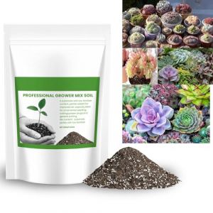 Mélange de terreau pour cactus succulents, technologie de croissance des plantes, terreau contenant de la perlite, du sable et du gravier, mélange de rempotage de jardin pour une utilisation en (Tkukkwr, neuf)