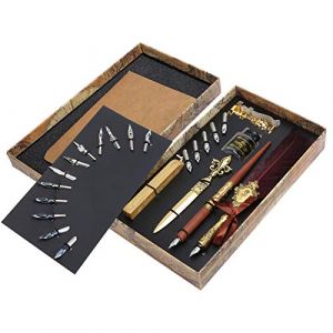 Kit de calligraphie pour stylo plume vintage avec 12 plumes fantaisie et 5 plumes d'art pour &eacute;crire la collection d'artisanat de dessin(#1) Stylo plume School Supplies School Supplies (Yokuna eu, neuf)
