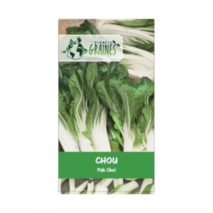 300 graines de chou chinois - pak cho&iuml; - jardin - potager - bok choy (Plan&egrave;te Graines, neuf)