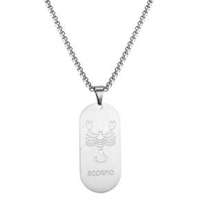 AFSTALR Collier Signe Astrologique Scorpion Pendentif Argent Zodiaque Collier Cadeau de Noël Hommes (AFSTALR, neuf)