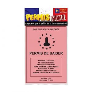Maelsa® Permis de baiser humoristique Permis de conduire idée cadeau fête d’anniversaire ou évènement marquant Personnalisable Dimensions : 14,5 x 20,5 cm Matière : carton rose. Quantité : 1 (⭐ MAELSA ⭐, neuf)