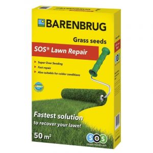 Barenbrug Semences de gazon 1 kg pour 50 m2 - Gazon de réparation SOS Lawn Repair enduit (Hermie Home & Garden, neuf)