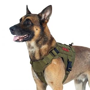 OneTigris Harnais Veste/Gilet De Chien Résistant à Eau en Nylon 1000D avec Molle pour Marche Randonnée Chasse Dressage Tactique (XL, Vert de Ranger) (1T Gear FR, neuf)