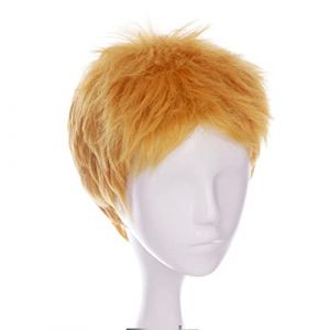 LINLINCD - Anime Coser pruik Anime Attaque sur Titan Pure Brown Cosplay Yollow Wig+ Perruque Perruque Cheveux Synthétiques Anime Party Accessoires Shingeki No Kyojin pour l'homme (qiu lai shan mao hang, neuf)
