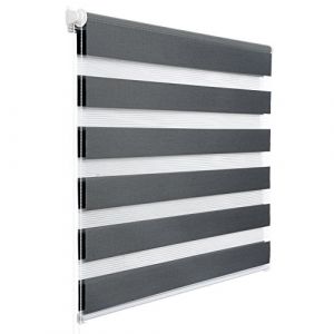 WOLTU Store Enrouleur Jour Nuit sans Perçage, Store Zébré en Double Tissu, Rideau Translucide et Occultant, Protection de la Vie Privée, Montage Facile avec Clips, 55l x 150L cm, Gris Foncé (WOLTU GmbH, neuf)