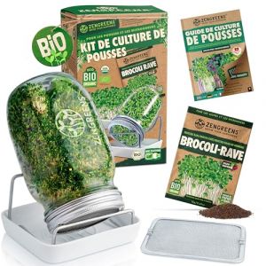 zengreens® Kit de germoir pour graines à germer Bio – Lot de 1 Bocal à pousses – Comprend bocaux à germes, Plateau de Germination et semences – Contient Guide et vidéo-Cours de Culture (SLSK Ventures GmbH (FR), neuf)