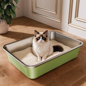 Bac Litiere pour Chat en INOX, Bac &agrave; Liti&egrave;re pour Grands Chats, Chatons et Lapins, Caisse Chat Litiere XXL, Litiere Toilette pour Maine Coon, Anti-Adh&eacute;rent, Anti-Odeurs (Vert, 50 * 35 * 10cm) (ICOYEA, neuf)