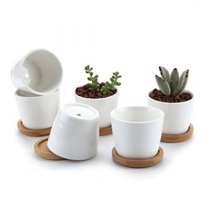 T4U Pot de Fleur Interieur Blanc Rond avec Soucoupe, Cache Pot ceramique pour Cactus, Lot de 6, pour Usage d&eacute;di&eacute; aux Amateurs de Plantes, d&eacute;coration Bureau, &eacute;tag&egrave;re et Rebord de fen&ecirc;tre (Mucihome-europe, neuf)