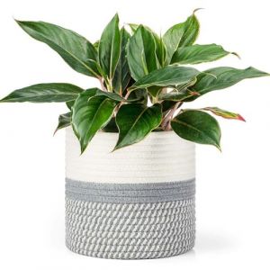 KMERCE Grand Pot de Fleurs Tressé, Cache Pot Plante Interieur, Panier à Plantes en Corde de Coton pour décoration Intérieure, Panier de Rangement pour Jouets, Vêtements - Diamètre 30cm (Slton, neuf)