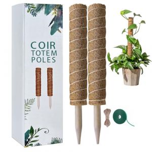 Tuteur Plante Grimpante, 2 Pi&egrave;ces/40CM Tuteur Monstera, Support de Plante Tuteur Coco, Pliable Tuteur Sphaigne pour Plantes Grimpantes Qui Poussent vers Le Haut, Maison Jardin de Support de Plante (Trlyane, neuf)