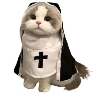 Costume de Chat de Nonne, Costume Mignon de Nonne Noir et Blanc, Tissu dr&ocirc;le d&rsquo;Habitude de Soeur d&rsquo;Halloween pour la Tenue de Cosplay d&rsquo;Halloween de Petit Chat (hereare, neuf)