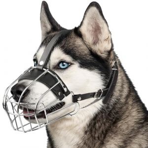 CleverTail Museli&egrave;re Husky en m&eacute;tal pour chien de grande taille &ndash; Museli&egrave;re pour chien avec sangles r&eacute;glables en cuir &ndash; Museli&egrave;re en cage en acier pour &eacute;viter de mordre et de manger &ndash; Prot&egrave;ge-dents (CleverTail, neuf)