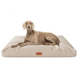 Knuffelwuff Coussin pour Chien Gatsby en Tissu Oxford - 110 x 89 cm - Beige - Fond antid&eacute;rapant - Facile &agrave; Nettoyer - pour Chiens de Grande, Moyenne et Petite Taille (Knuffelwuff, neuf)