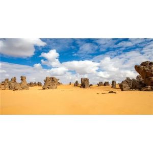 MIRRORANG 91x50cm Soleil et d&eacute;sert Terrarium Fond Bleu Ciel Roche Orange d&eacute;sert Reptile Habitat Fond Vinyle Fond (MIRRORANG Shop EU, neuf)