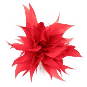 Épingle à plumes for écharpe, boucle, broche, clip, épingle à revers de Noël, broche, bijoux, badge en plumes et fleurs for femmes et filles(Rb) (MAOXINBAIHUO, neuf)