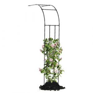 Caroeas Demi Arche de Jardin pour Plantes Grimpantes,60x240x40cm，Arceau Métallique pour Rosiers, Tonnelle Décorative Extérieure, Résistante à la Rouille et à la Décoloration (Kailuo Europe, neuf)
