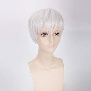 Haute qualité Anime Tokyo Ghouls Ken Kaneki Cosplay perruque Sasaki Haise perruque filles garçons Renji Yomo UtaShort noir gris perruques synthétiques une taille Ken Kaneki perruque noire (long zhu tang, neuf)
