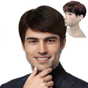 Perruque homme naturel brune,Perruque pour homme,Perruque homme courte droite,Pour Hommes rock star soirée à thème carnaval Costume de fête quotidien (vpb, neuf)