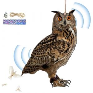 Faux Hibou Leurre Pour Effrayer Les Oiseaux, Effaroucheur Pigeons, Carton Hibou Anti Pigeons, Effaroucheur Oiseaux, Hiboux Leurres Pour Effrayer Les Oiseaux, Faux Hibou Pour Fermes, Vergers, Jardins (Moonlapt, neuf)