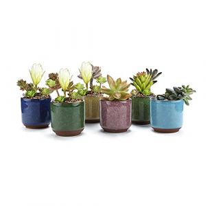 Spldsun Lot de 6 pots de fleurs en c&eacute;ramique pour plantes grasses, cactus et mini pots de fleurs, peuvent &ecirc;tre utilis&eacute;s pour faire pousser des cactus, des plantes succulentes et quelques petites (Splendid sunset, neuf)