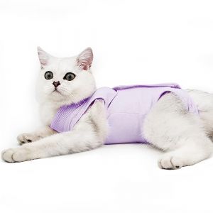 Doton Cat Professionnel Restauration Convient pour abdominaux Collerette des plaies ou des Maladies de la Peau, Alternative pour Chiens et Chats, apr&egrave;s la Chirurgie Porter (S,Violet) (Dotoner FR, neuf)