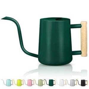 Arrosoir pour plantes d'int&eacute;rieur - 1 l - Petit arrosoir d'int&eacute;rieur en m&eacute;tal et acier inoxydable - Arrosoir d&eacute;coratif moderne avec long bec pour maison, bonsa&iuml;, ext&eacute;rieur, jardin - Vert alpin (Guanghao US, neuf)